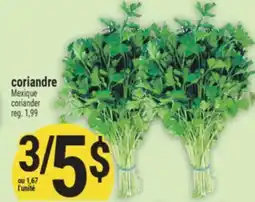 Marché Adonis Coriandre | Coriander offer
