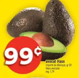 Super C avocat Hass | Hass avocado offer