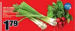 Super C RADIS EN FEUILLES | TOP RADISHES offer