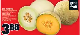 Super C GROS CANTALOUP | LARGE CANTALOUPE offer