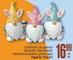 Jean Coutu Selected decorative gnome sets offer