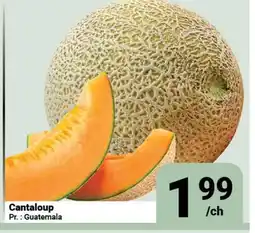 Pasquier Cantaloup offer