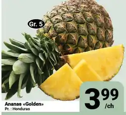 Pasquier Ananas Golden offer