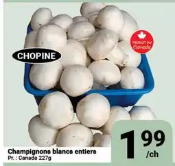 Pasquier Champignons blancs entiers offer