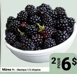 Pasquier Mûres offer