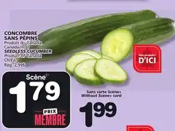 Marches Tradition SEEDLESS CUCUMBER offer