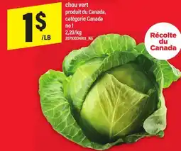 Maxi CHOU VERT offer