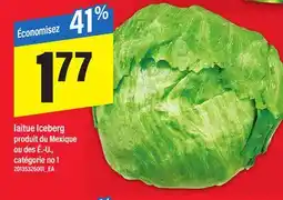 Maxi LAITUE ICEBERG offer