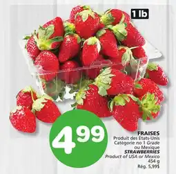 Marches Tradition STRAWBERRIES offer