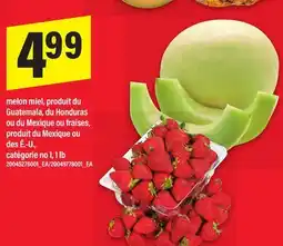 Maxi MELON MIEL OU FRAISES offer