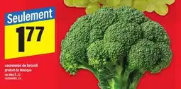 Maxi COURONNES DE BROCOLI offer