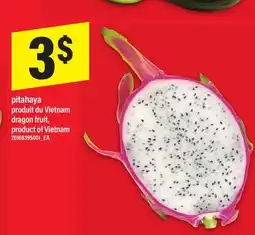 Maxi PITAHAYA | DRAGON FRUIT offer