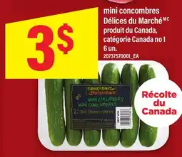 Maxi MINI CONCOMBRES DÉLICES DU MARCHÉ, 6 un offer