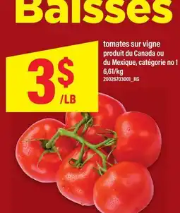 Maxi TOMATES SUR VIGNE offer