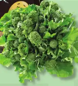 IGA RAPINI offer