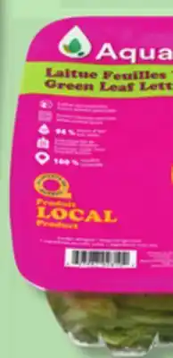 IGA AQUAVERTI LETTUCE offer