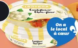 IGA LANTANA HUMMUS OR BABA GANNOUJ offer