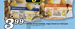 Marché Richelieu Pommes de terre blanches, rouges, Russet ou à chair jaune | Potatoes offer