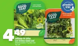 Marche Ami Mélange de laitue Les fermes Good Leaf offer