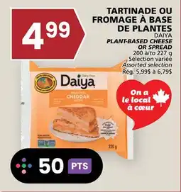 Rachelle-Bery Grocery DAIYA PLANT-BASED CHEESE OR SPREAD offer