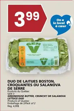 Rachelle-Bery Grocery GREENHOUSE BUTTER, CRUNCHY OR SALANOVA LETTUCE DUO offer