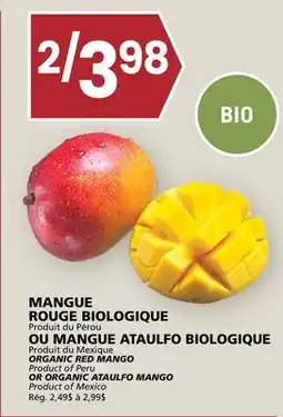 Rachelle-Bery Grocery ORGANIC RED MANGO offer