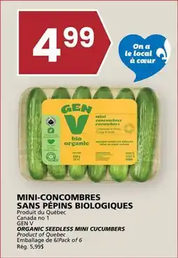 Rachelle-Bery Grocery GEN V ORGANIC SEEDLESS MINI CUCUMBERS offer