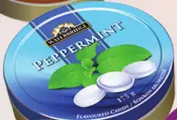 Giant Tiger Waterbridge Travel Tine offer