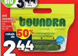 Metro MINI CONCOMBRES | MINI CUCUMBERS offer