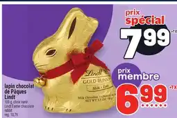Metro LAPIN CHOCOLAT DE PÂQUES LINDT | LINDT EASTER CHOCOLATE RABBIT offer