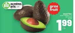 Metro AVOCAT HASS | HASS AVOCADO offer
