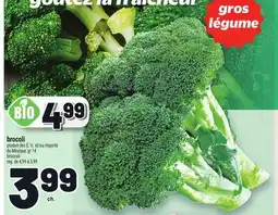 Metro BROCCOLI | BROCCOLI offer