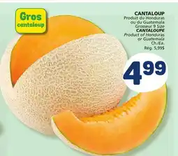 Marché Bonichoix CANTALOUPE offer