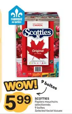 Brunet SCOTTIES Papiers mouchoirs sélectionnés offer