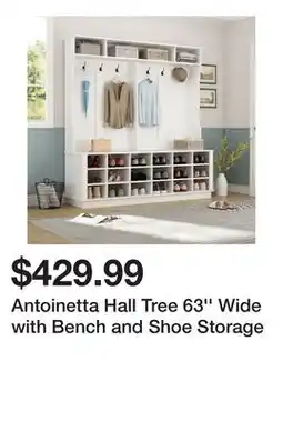 Wayfair Antoinetta Hall Tree 63'' Wide with Bench and Shoe Storage offer