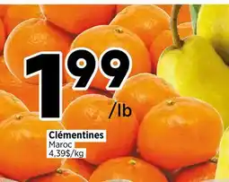 Val-Mont Clémentines Maroc offer