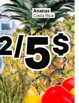 Val-Mont Ananas Costa Rica offer