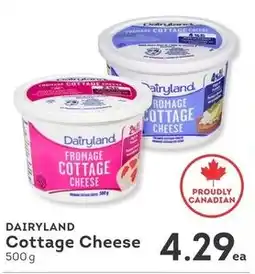 IGA Dairyland cottage cheese offer