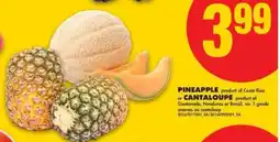 No Frills PINEAPPLE or CANTALOUPE offer