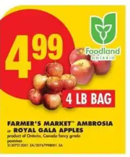 No Frills FARMER'S MARKET AMBROSIA or ROYAL GALA APPLES offer