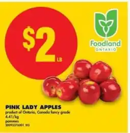 No Frills Pink Lady Apples offer