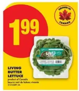 No Frills Living Butter Lettuce offer