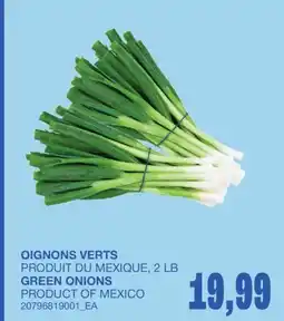Wholesale Club OIGNONS VERTS, 2 LB offer