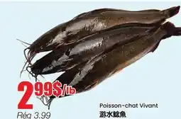 Btrust Supermarket Poisson-chat Vivant offer