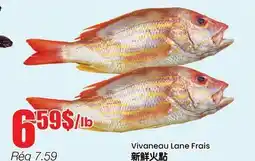 Btrust Supermarket Vivaneau Lane Frais offer