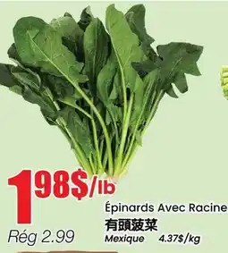 Btrust Supermarket Épinards Avec Racine offer