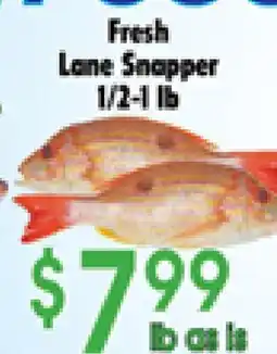 Danforth Food Market Fresh Lane Snapper offer