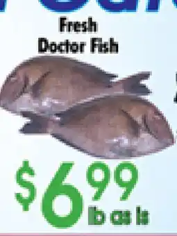 Danforth Food Market Fresh Doctor Fish offer