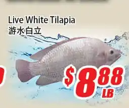 WinCo Food Mart Live White Tilapia offer