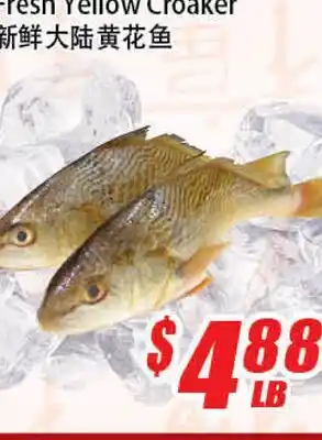 WinCo Food Mart Fresh Yellow Croaker offer